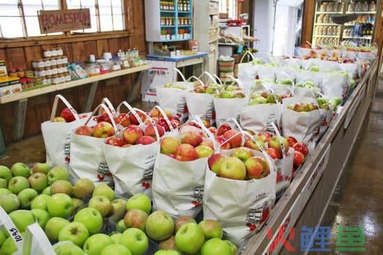 安全运营产品(一键收藏！2024年热门网络安全运营工具／方案推荐)