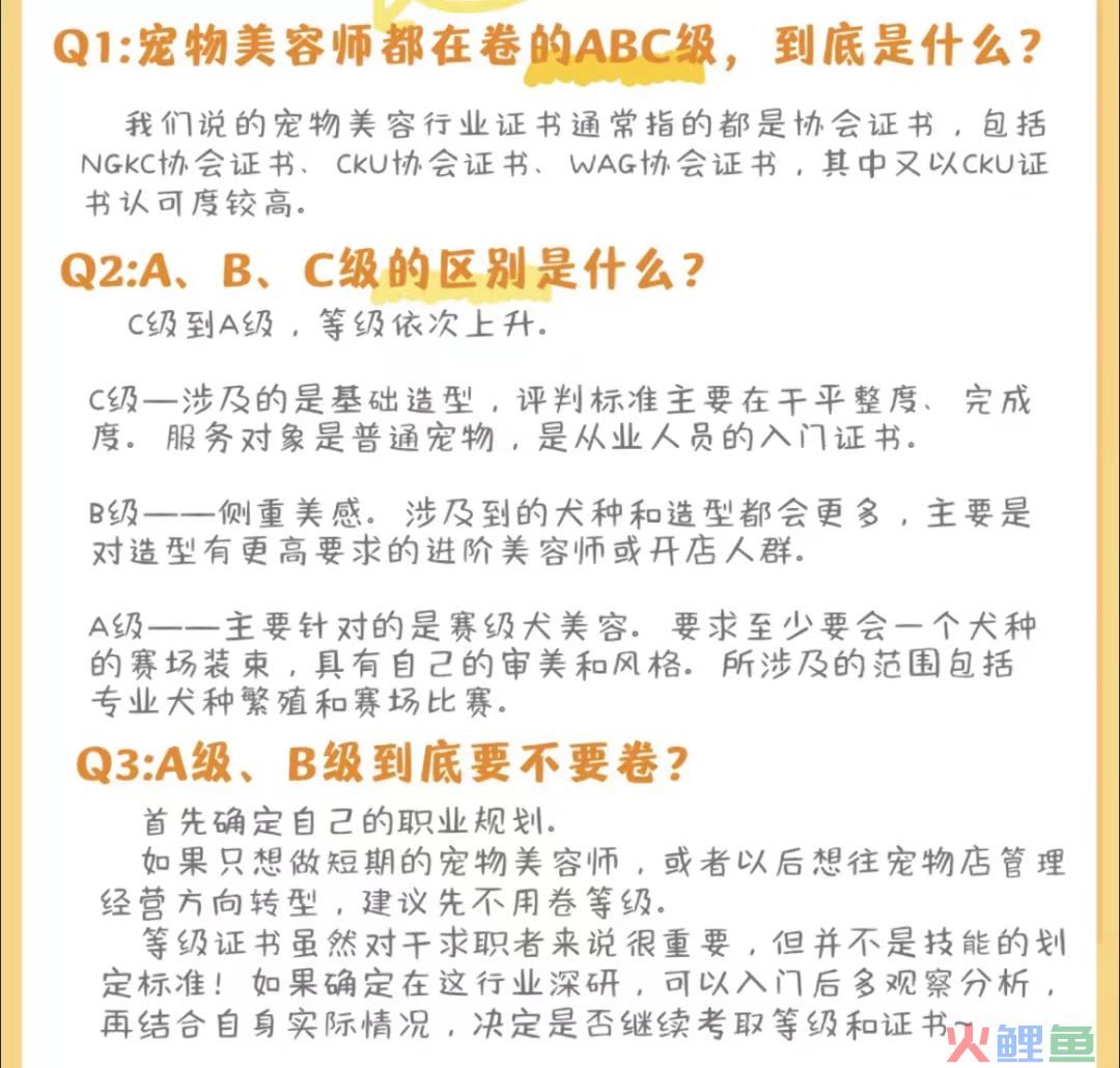 宠物年夜饭与春联卖爆：“它消费”深度卷向拟人化