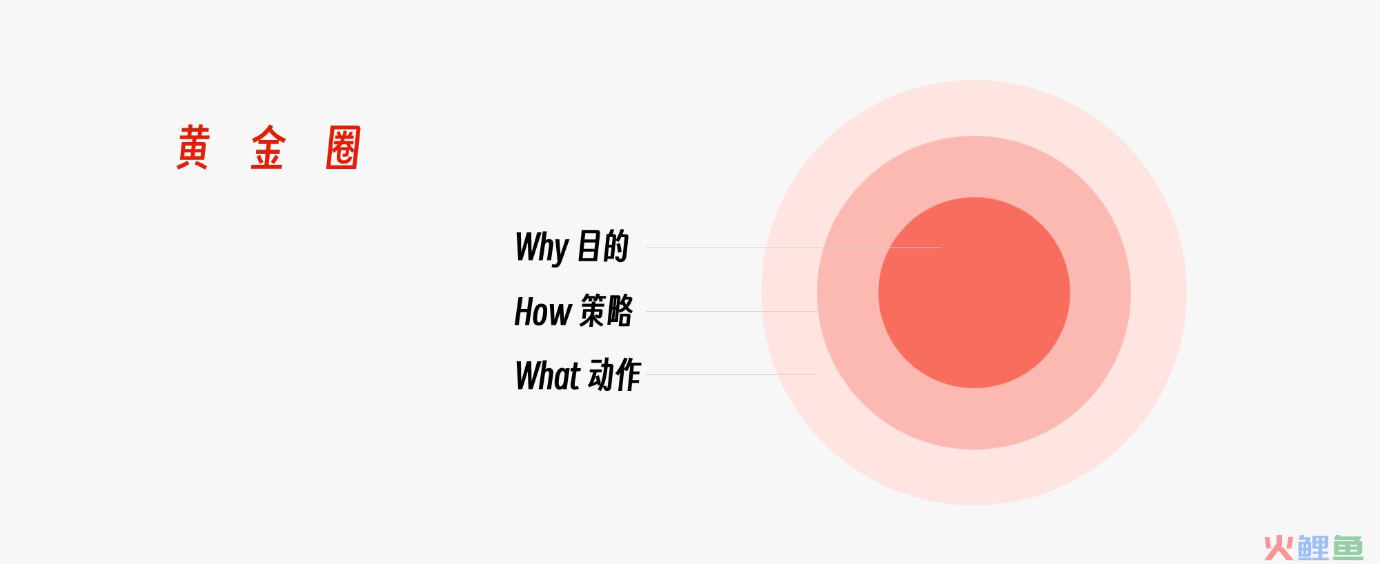 黄金圈思维