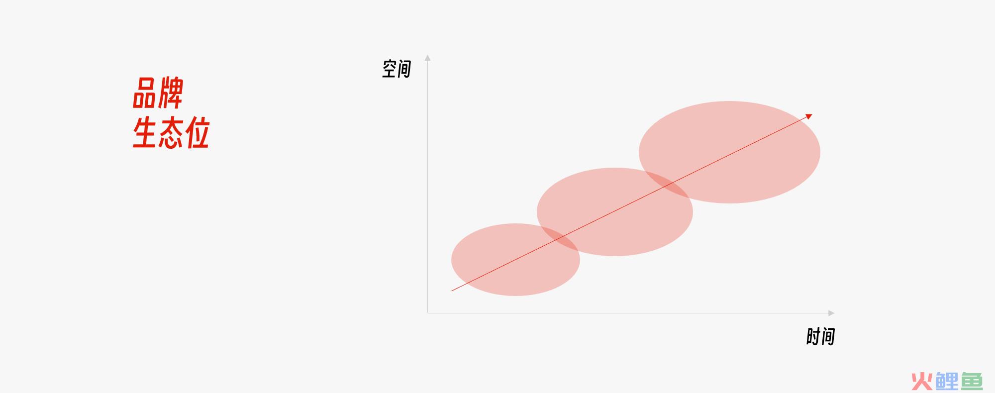 品牌生态位