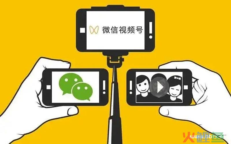 微信视频号创作者权益指南