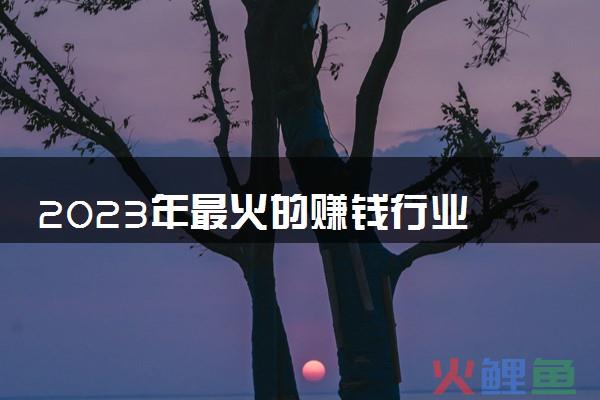 2024年最火的生意有哪些？2024年以后做什么行业好？