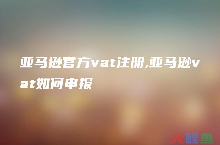 什么情况亚马逊需要缴纳VAT？亚马逊vat如何申报？
