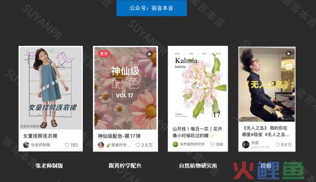宿言：小红书营销全攻略，从平台特征到营销技能！