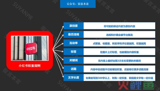 宿言：小红书营销全攻略，从平台特征到营销技能！
