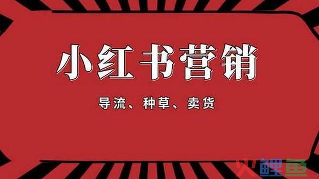 小红书营销方式有哪些（盈利形式分析）