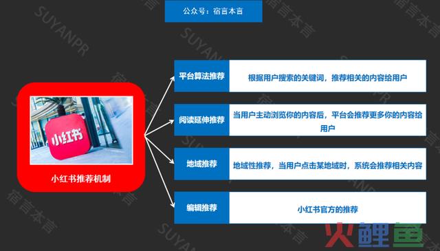 宿言：小红书营销全攻略，从平台特征到营销技能！