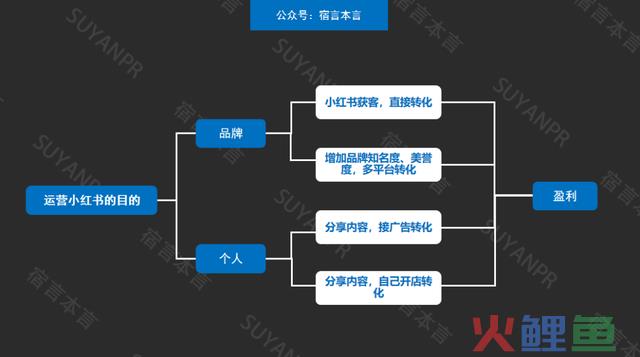 宿言：小红书营销全攻略，从平台特征到营销技能！