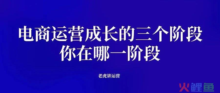 电商运营成长的三个阶段
