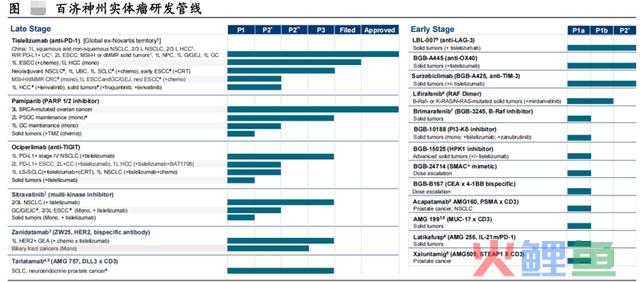 高瓴资本和摩根超级重仓，研发费率无敌恐怖，毛利率堪比茅台的顶级赛道之王