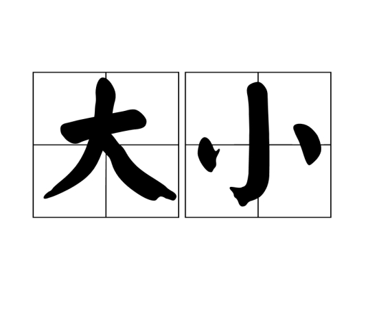 大小